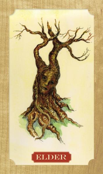 Tree of Life Oracle Cards